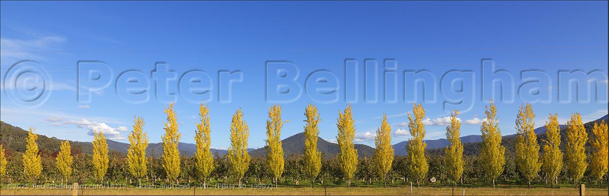 Peter Bellingham Photography Green and Gold - VIC (PBH4 00 13907)